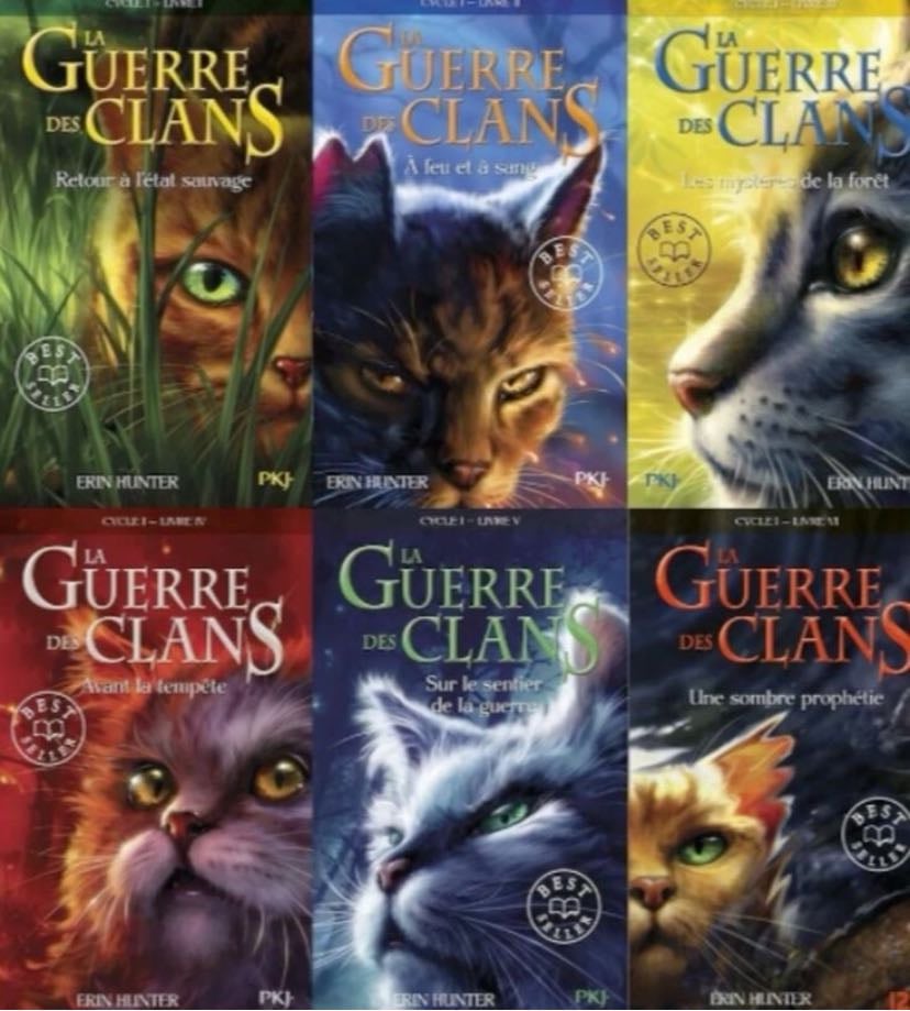 warrior cats - my childhood in books