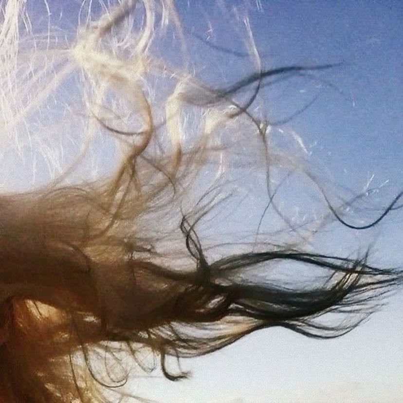 wind - my favorite weather