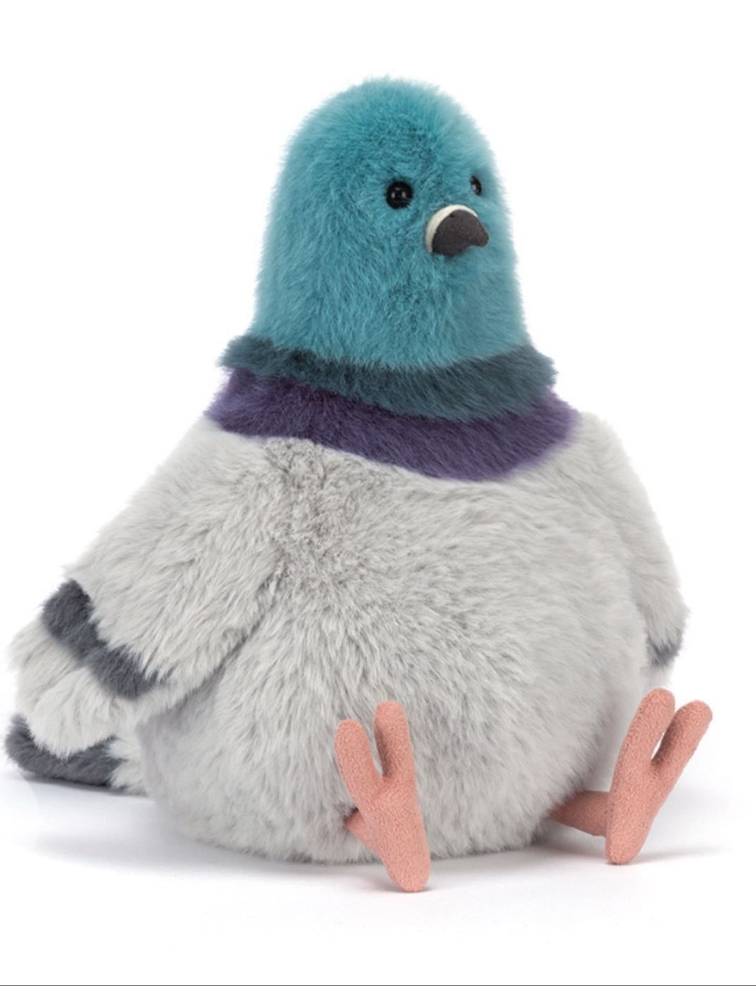 pigeon