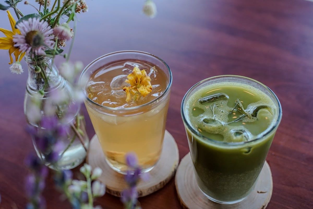 Salvia & Coyote Café Silvestre
