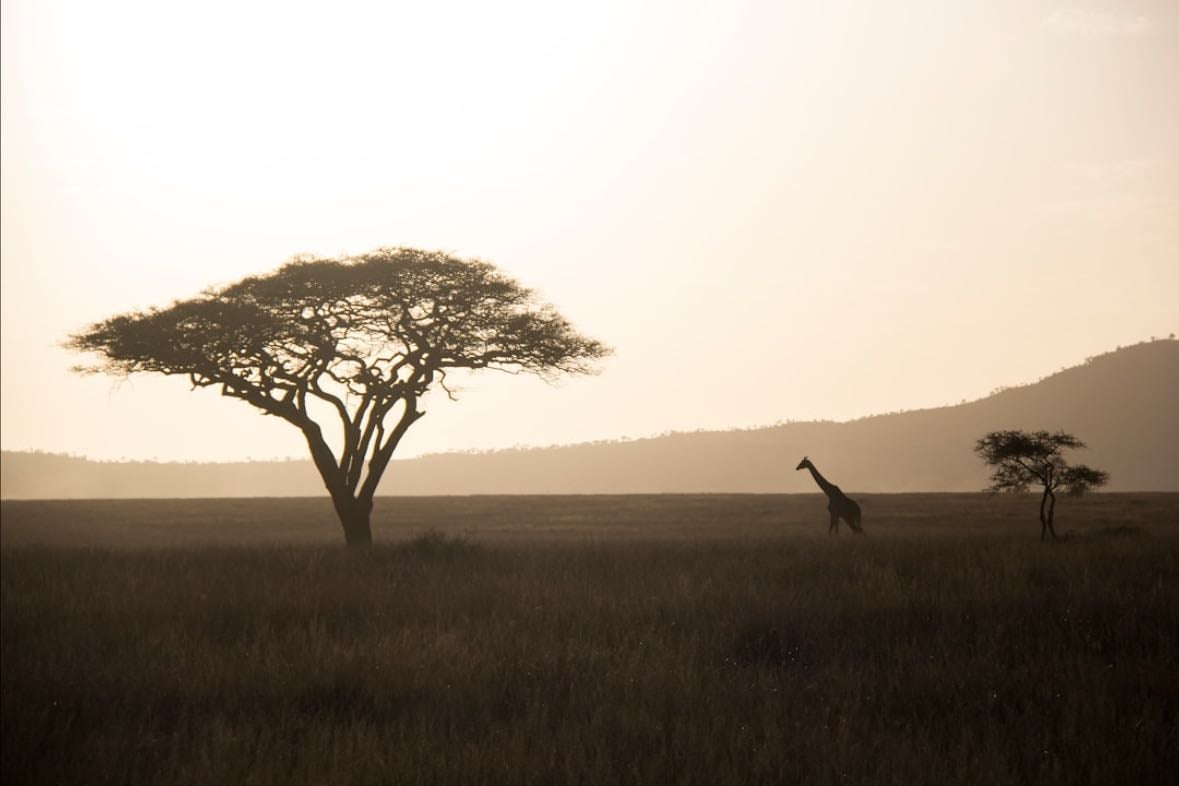 Tanzania