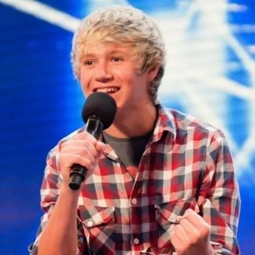 X factor Niall