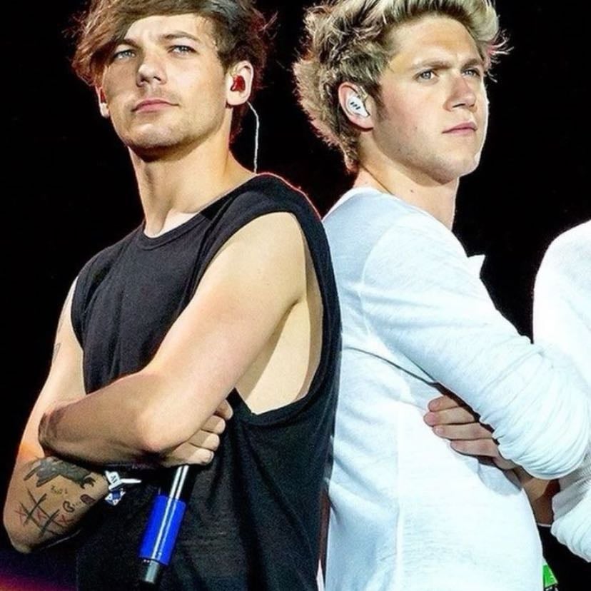 Meet Niall or Louis!! - (Depends if they go on tour around my area)