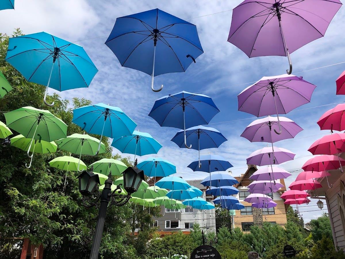 Jardim do Amor - espaço instagramável com flores artificiais e corações. Horário de funcionamento: 09h-17h30