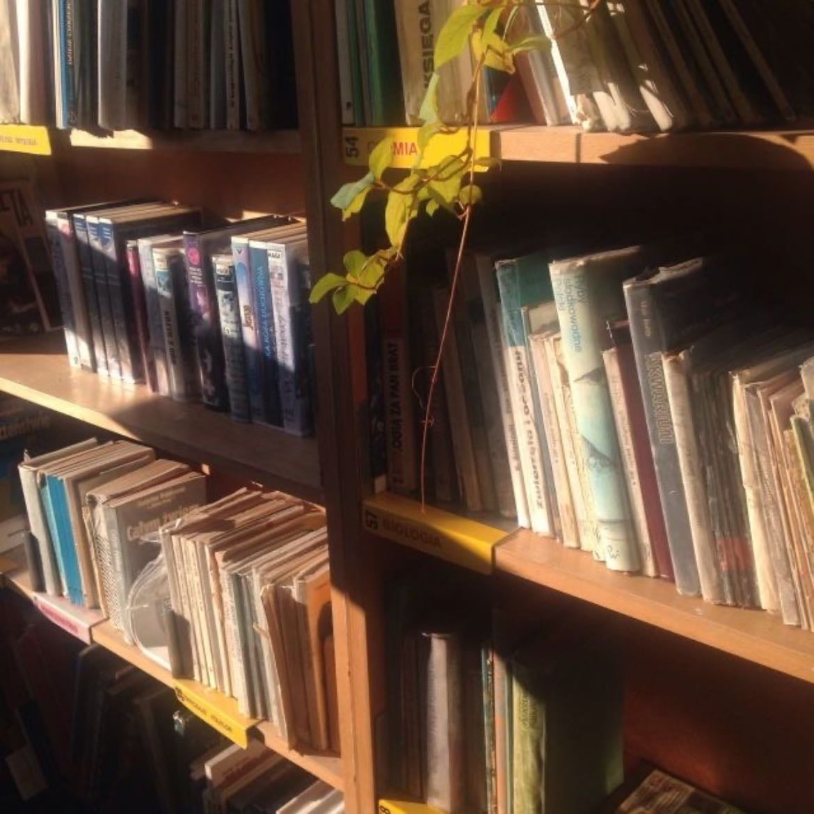 an empty bookstore