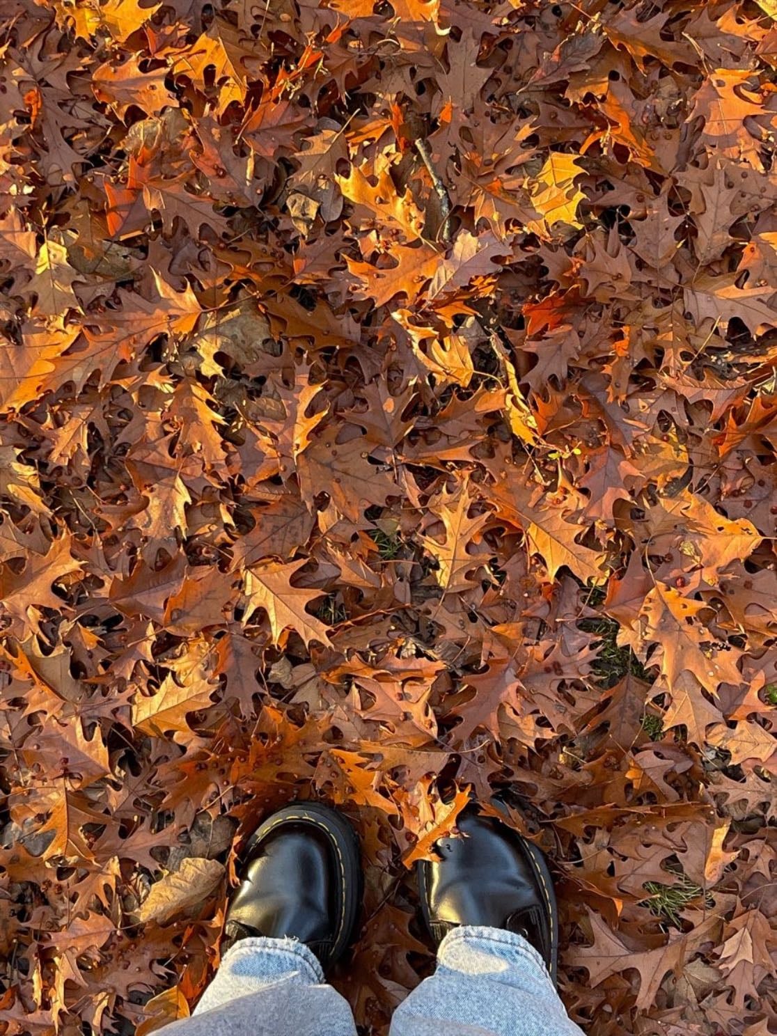 the crunch of leaves beneath your feet