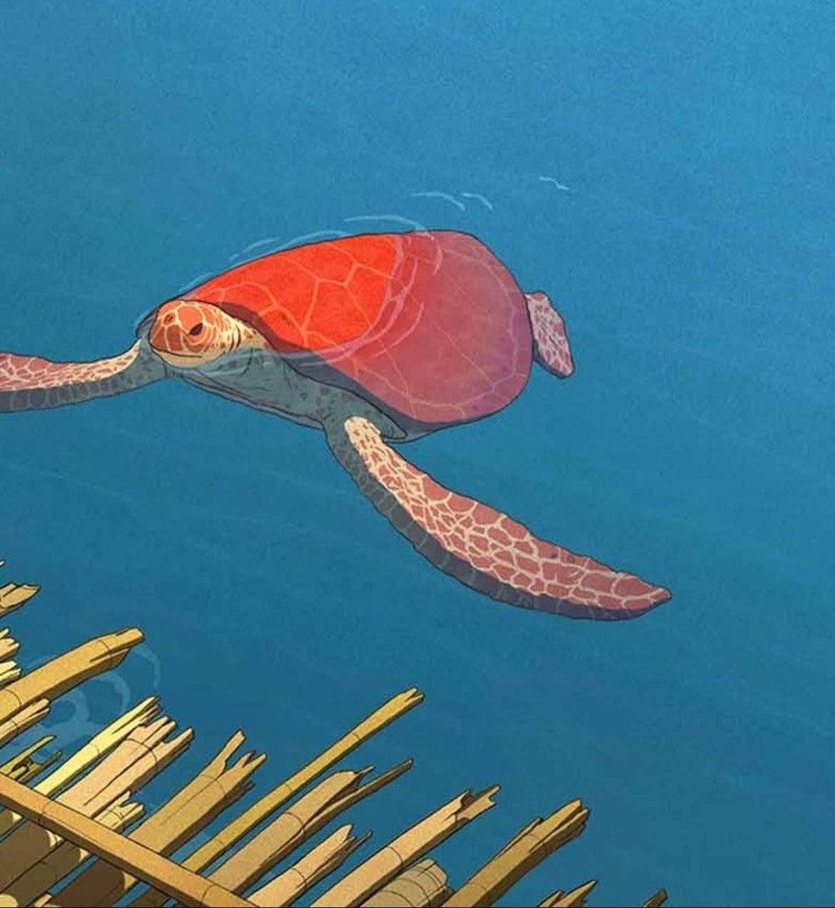 La tortue rouge - 2016