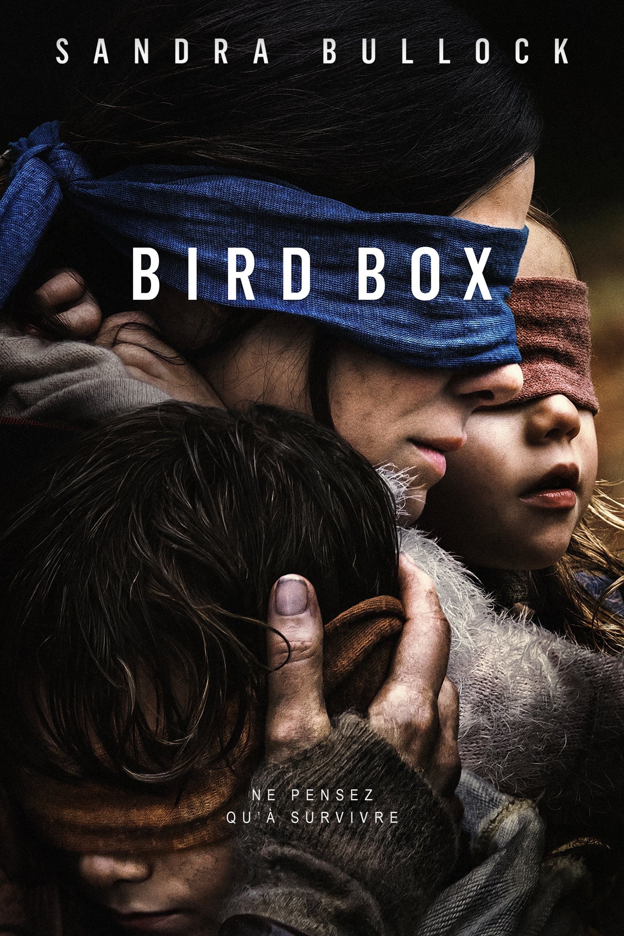 Bird Box - Susanne Bier · 2018