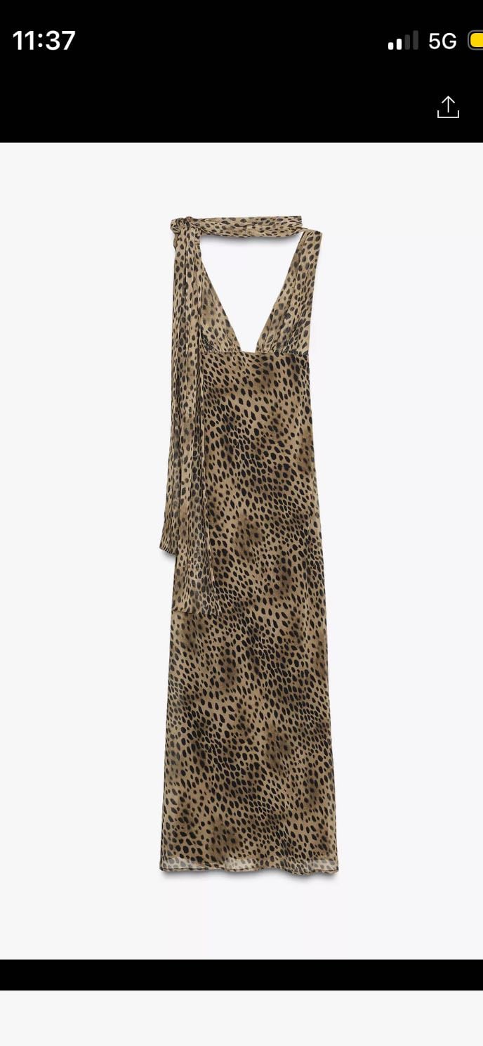 robe maxi zara - 50€