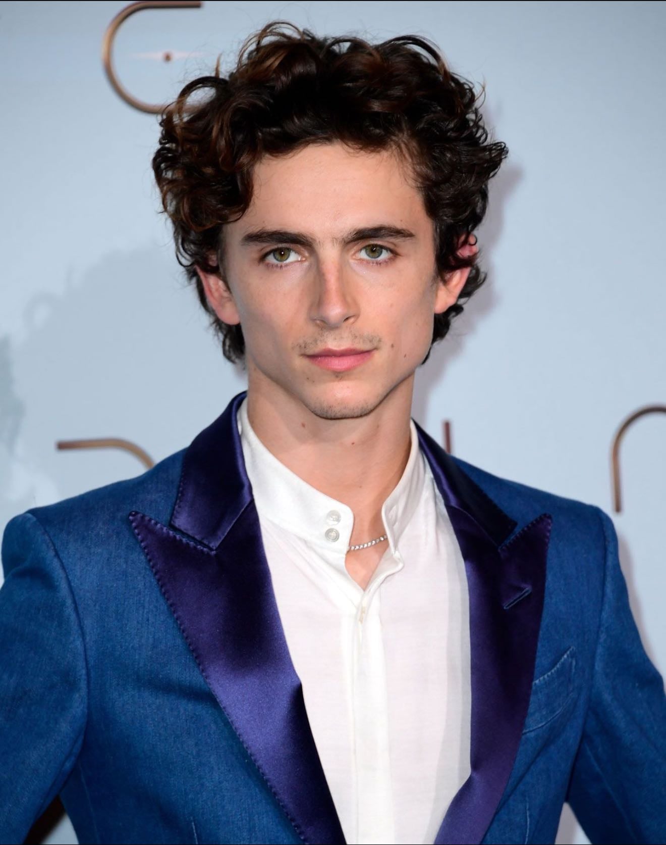 Timothée Chalamet - 🇺🇸/🇫🇷