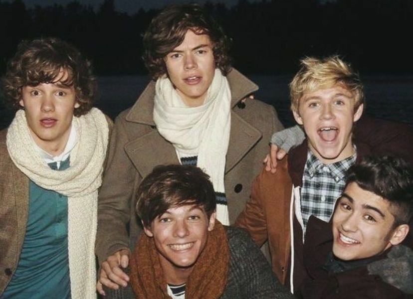 My fav music from 1D🤍 (band x solo)
