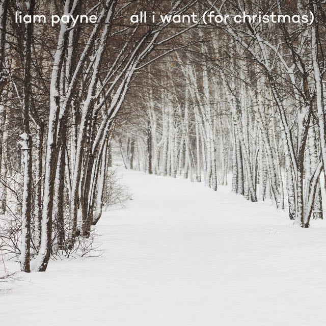 All I Want (For Christmas) - Song · Liam Payne