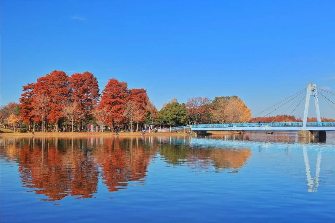 水元公園