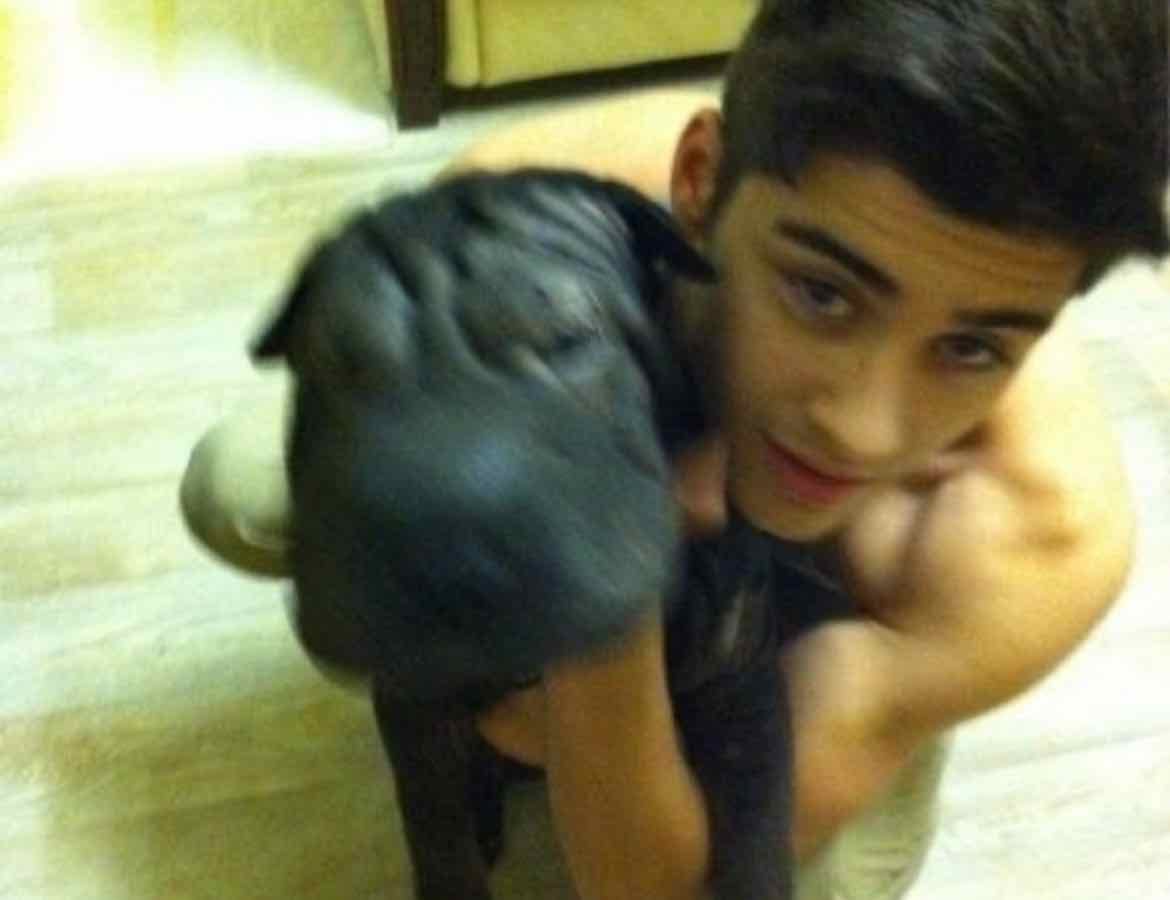 fav zayn songsβοΈπ½πͺ½