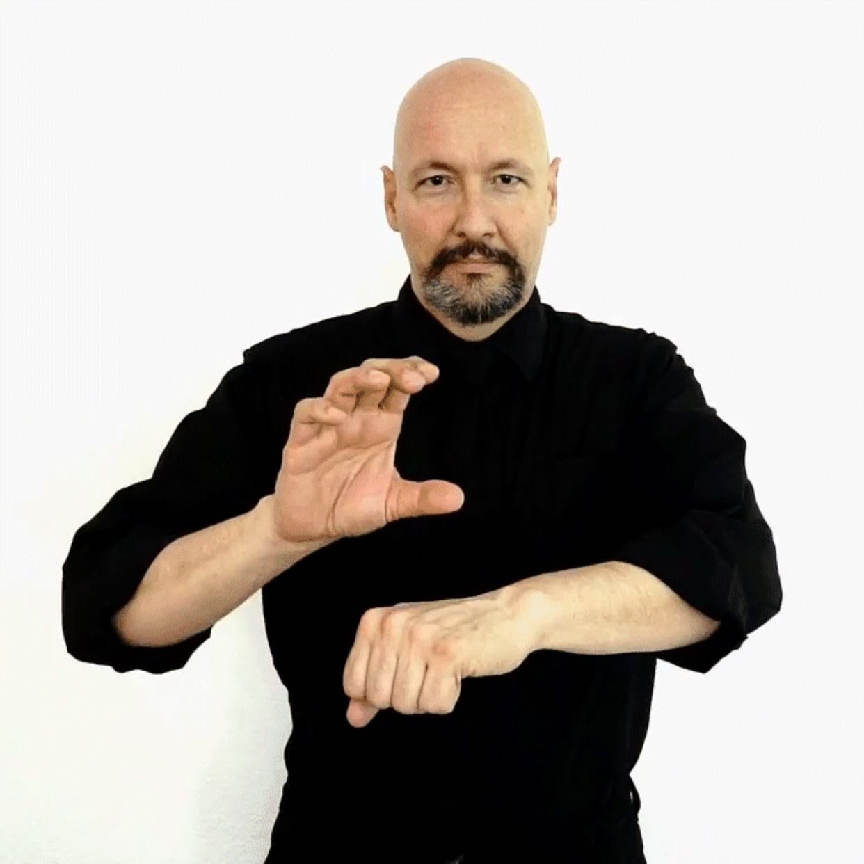 ASL Grammar/Syntax - Free-Form Topic