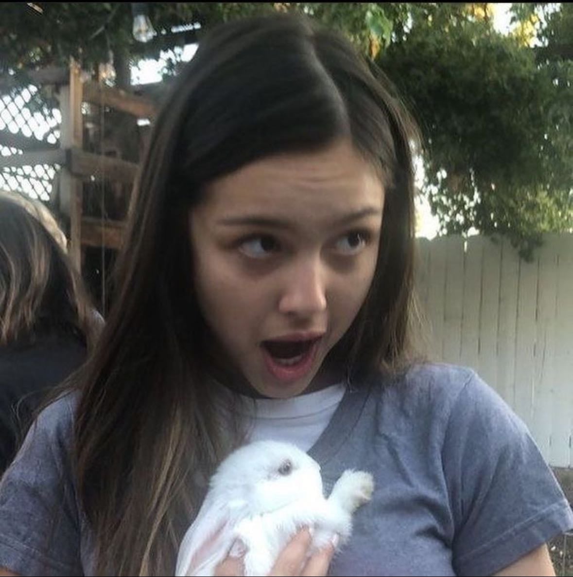 olivia rodrigo