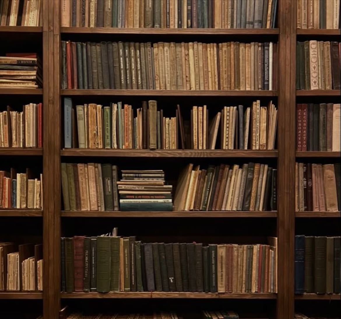 My Bookshelf