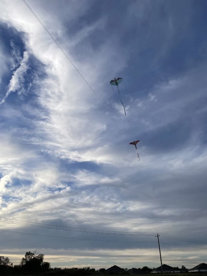 Kite flying