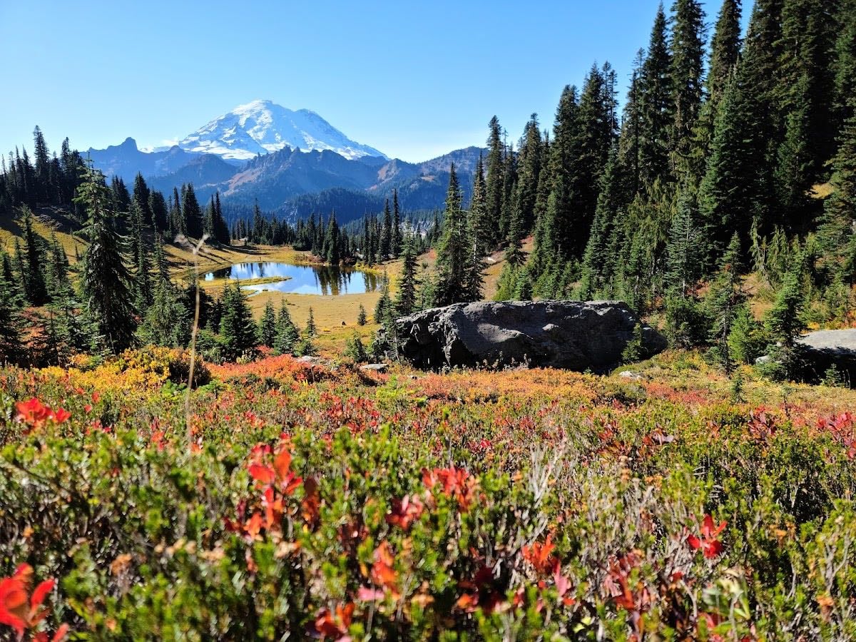 Mt Rainier National Park