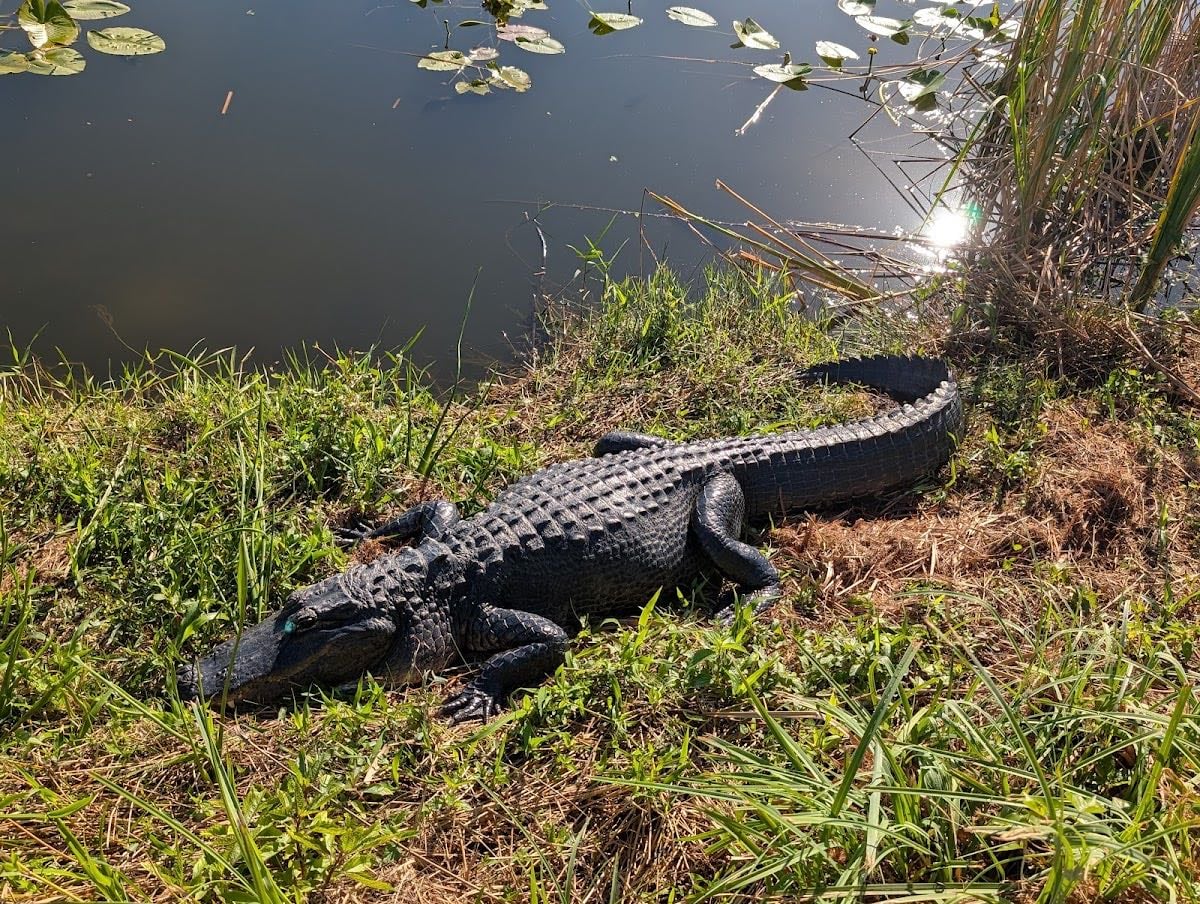 Everglades National Park