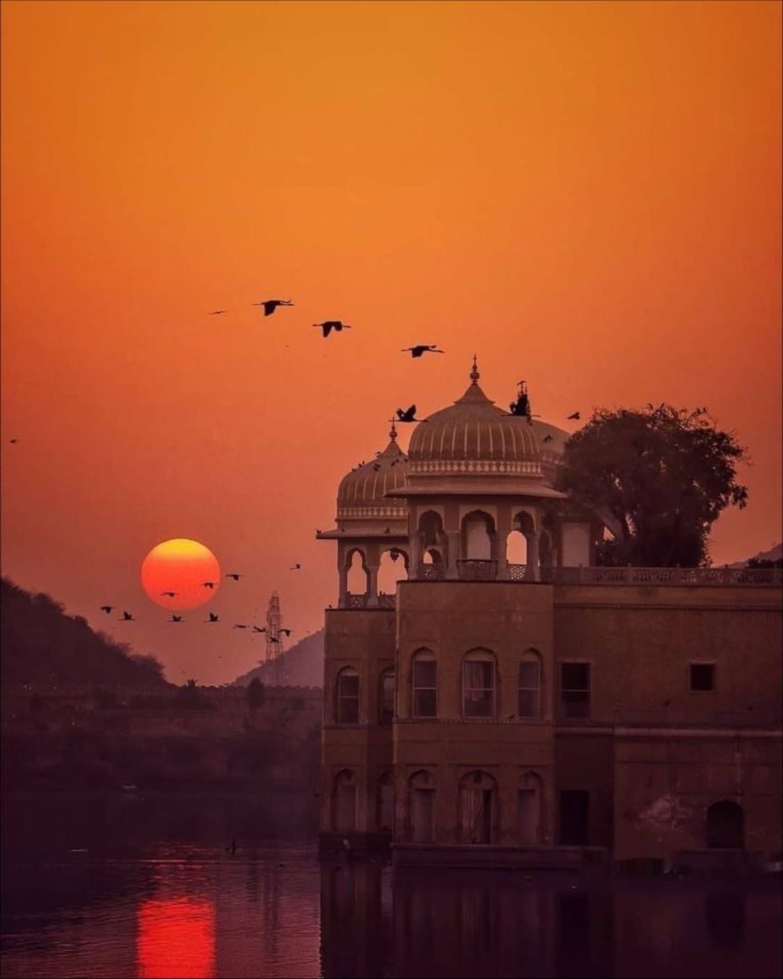 india - with fam