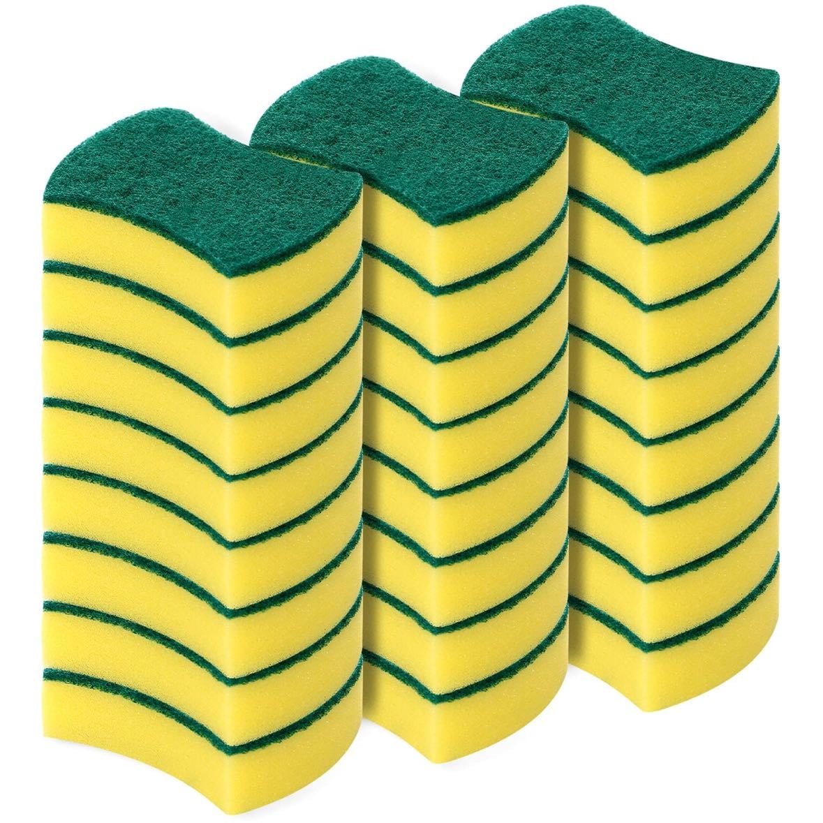 Sponges