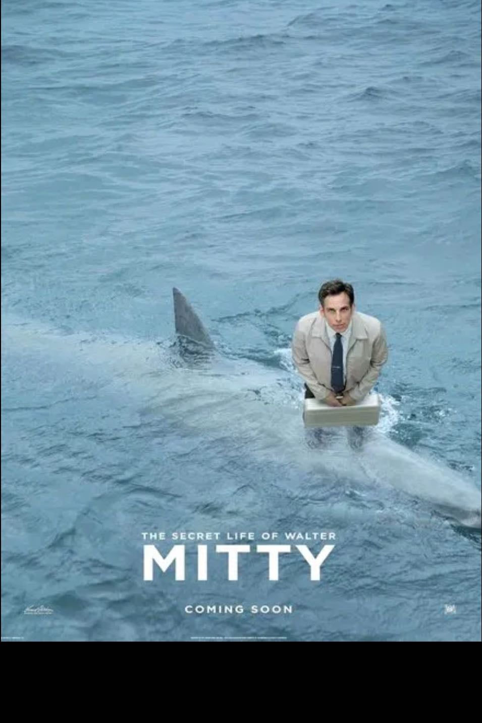 The Secret Life of Walter Mitty - 2013