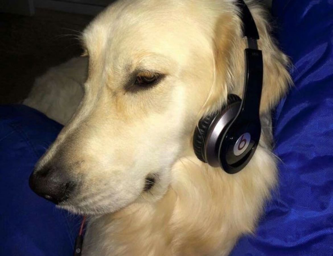 Music ❣️
