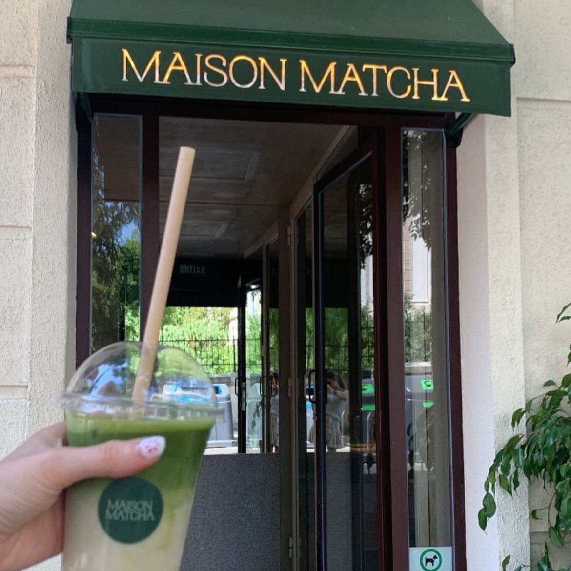 Maison Matcha