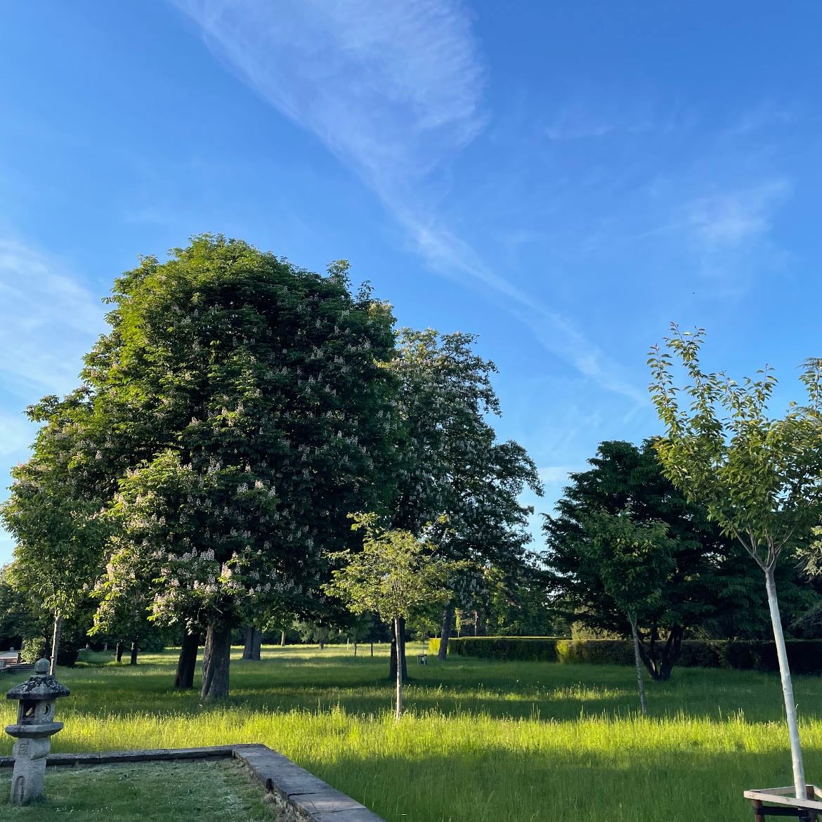 Japanischer Garten
