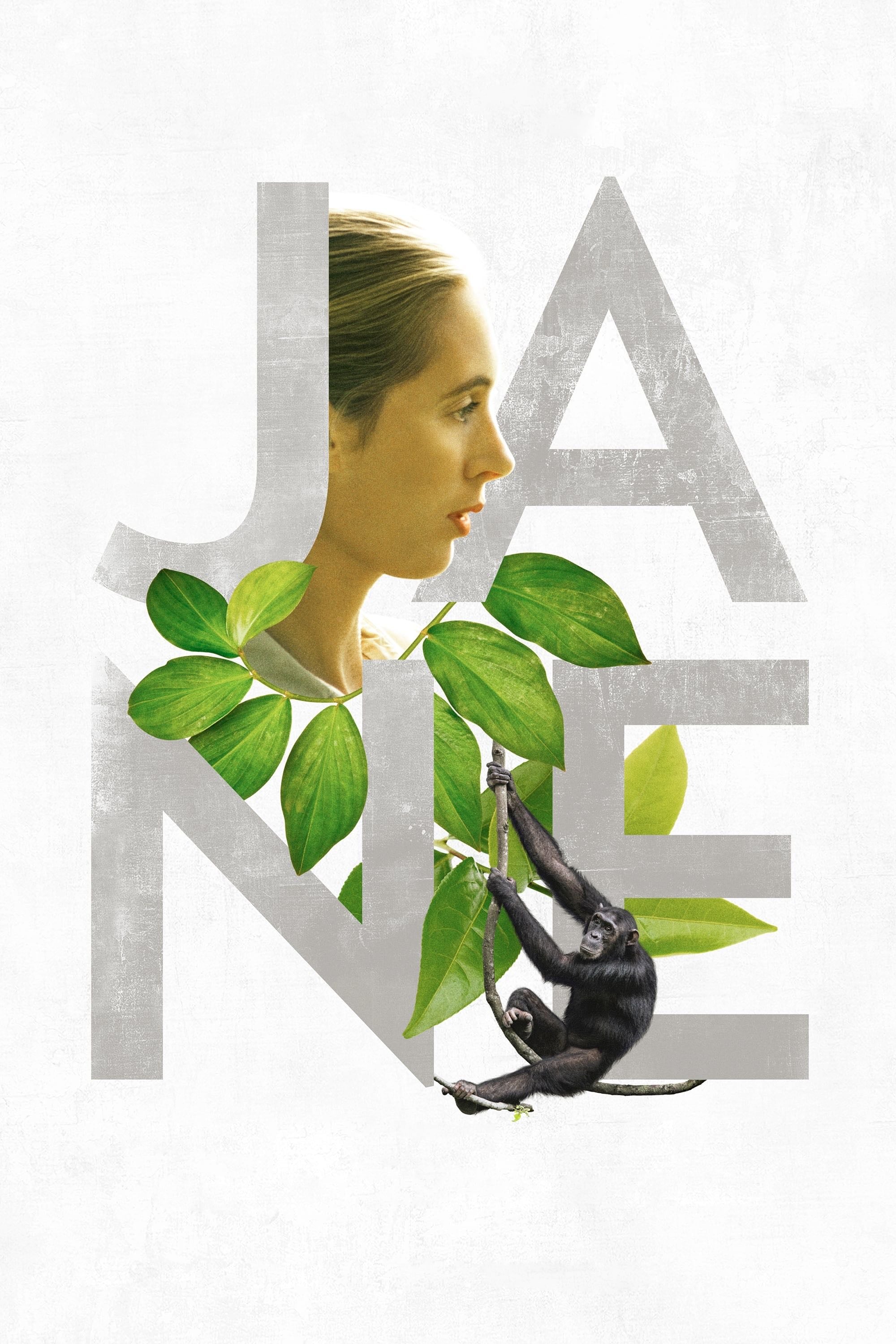 Jane: A Mãe dos Chimpanzés - Brett Morgen · 2017