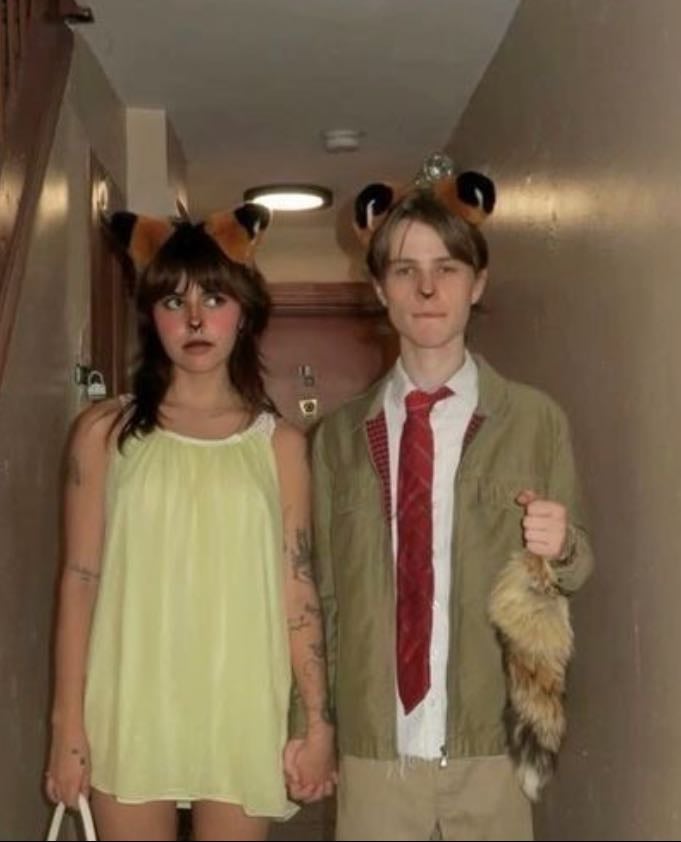 Fantástico Mrfox
