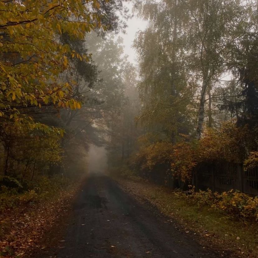 autumn