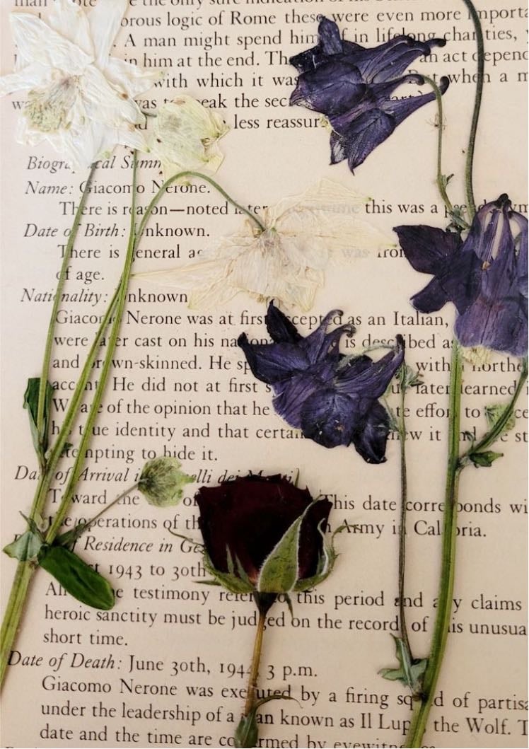 dry flowers