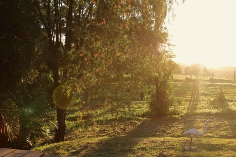 sun in the morning