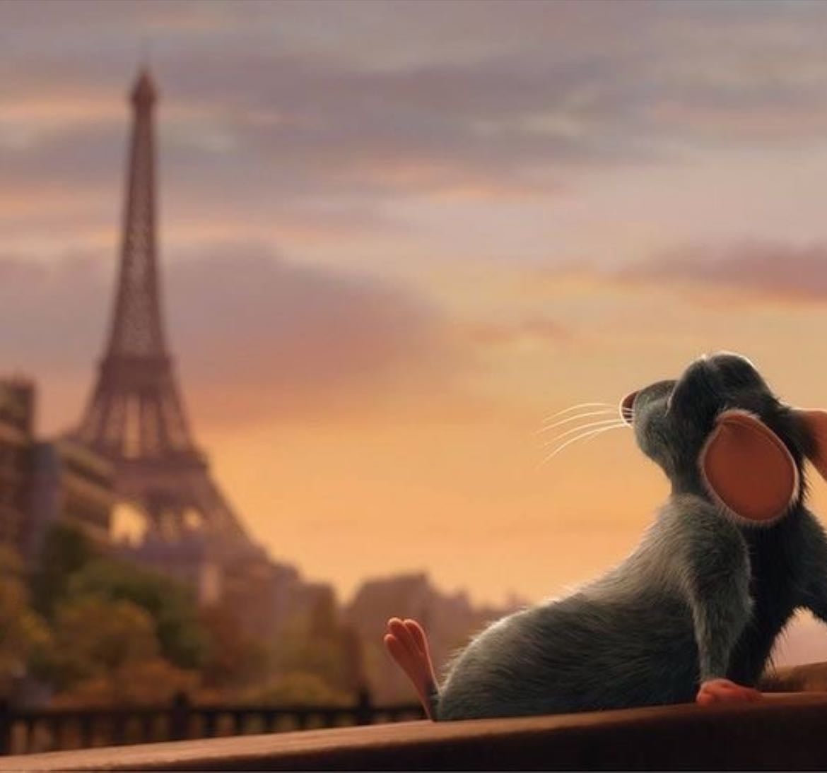 Animation - Movies hypelist by noné
