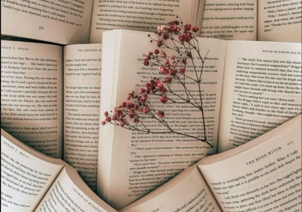 fav books 📖 🩷 - Books hypelist by ahri