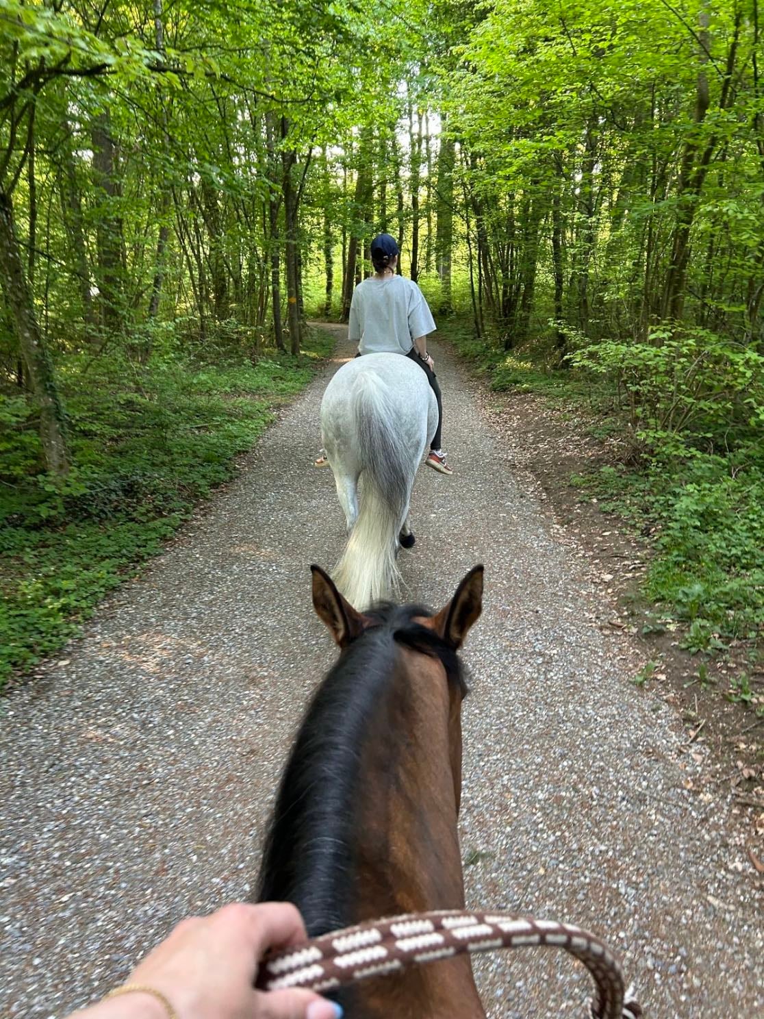 horse riding