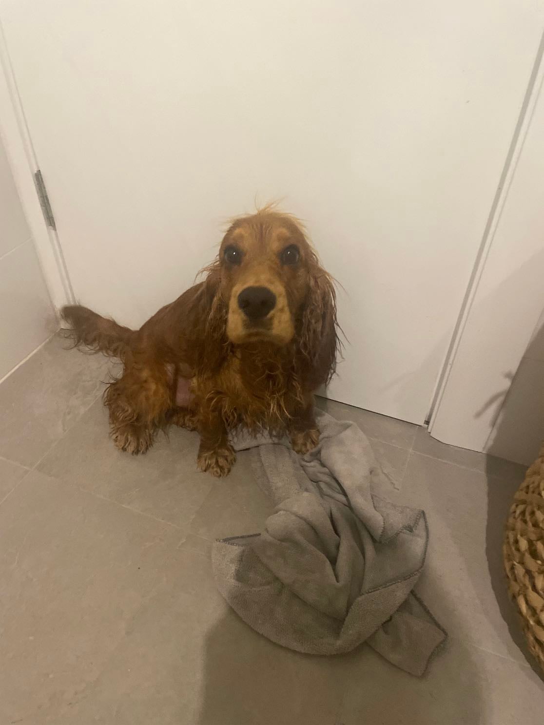 wash ralph