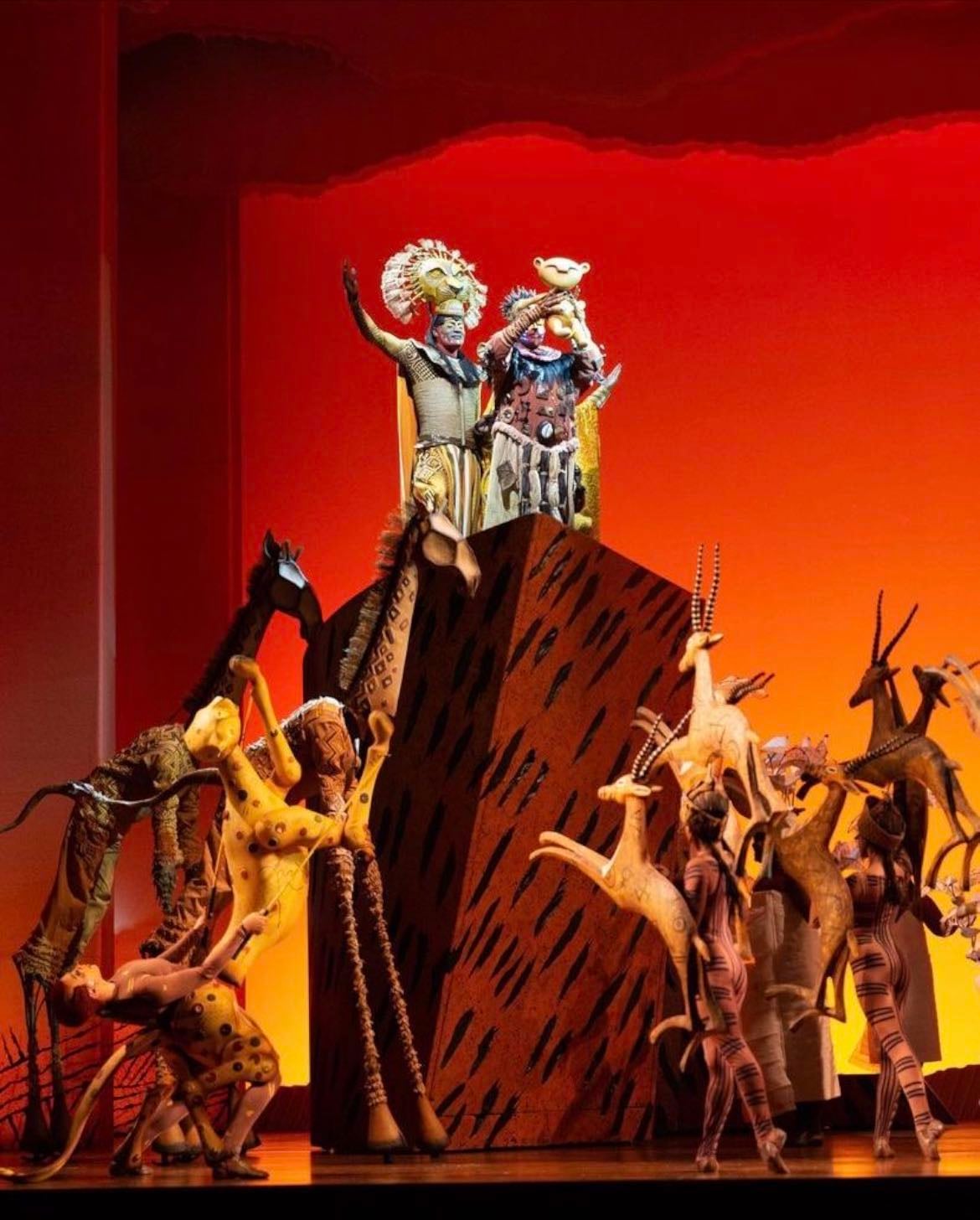 The Lion King - 📍Houston
