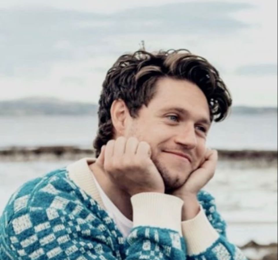 My top 5 niall songs!