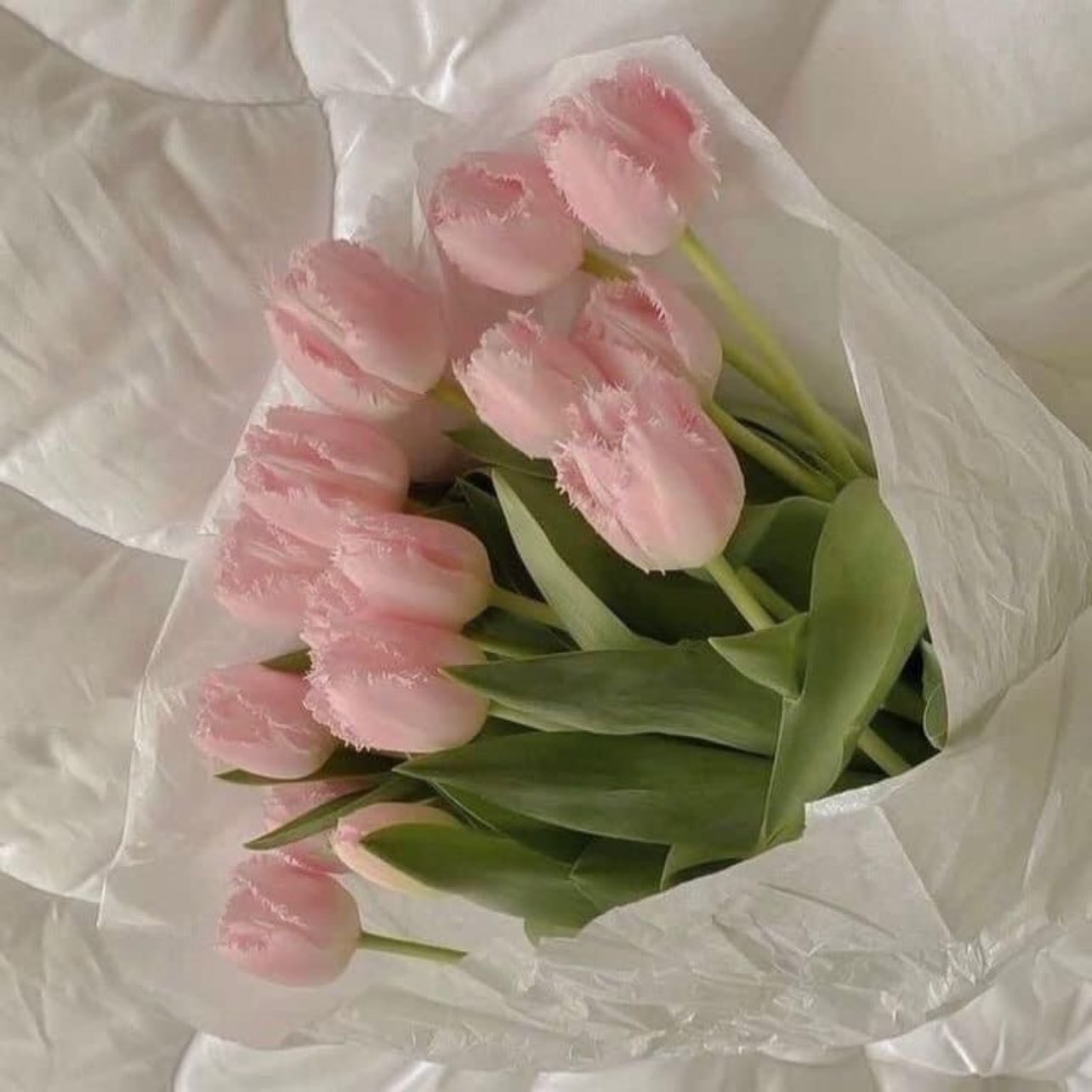 Tulipanes rosas🤍✨