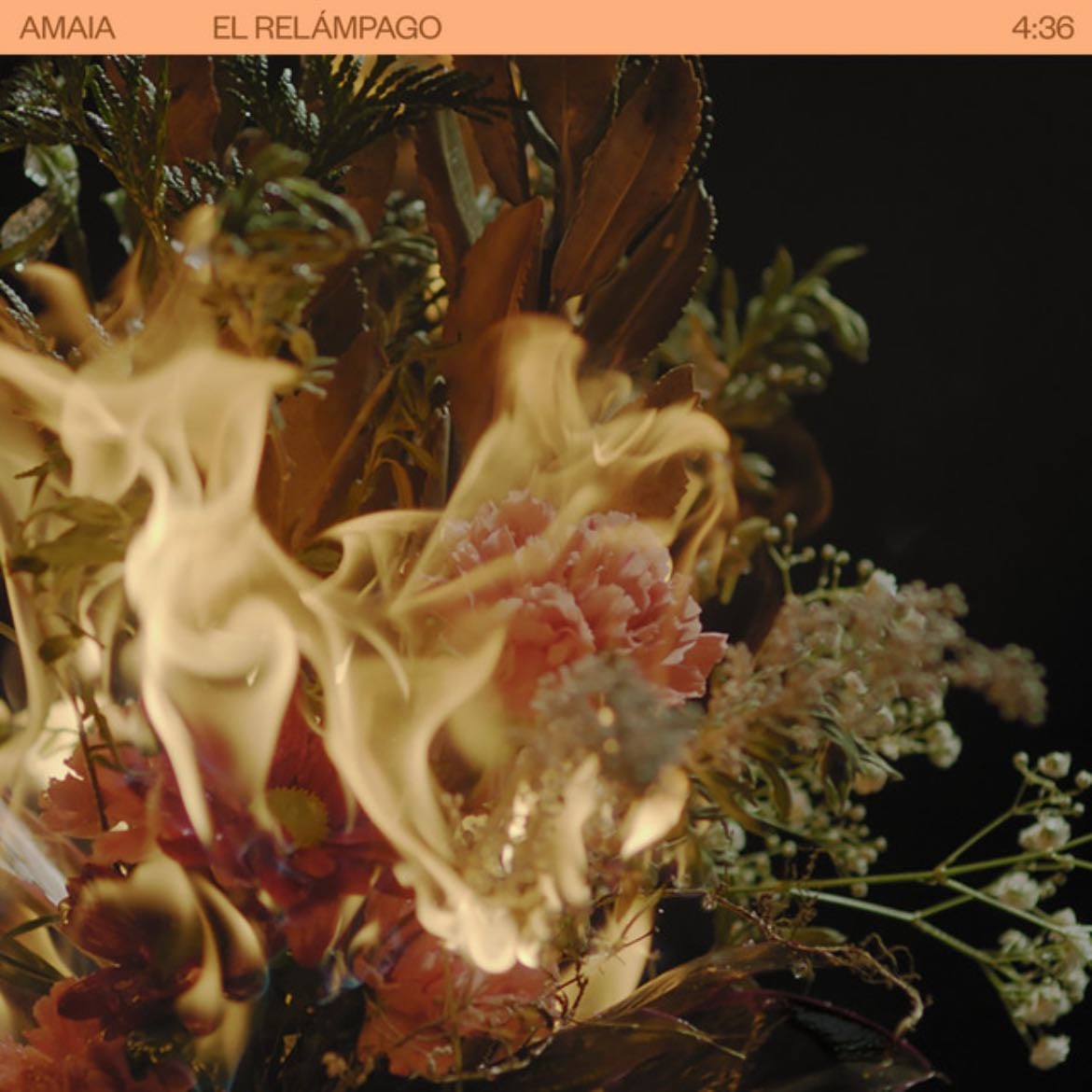El Relámpago - Amaia