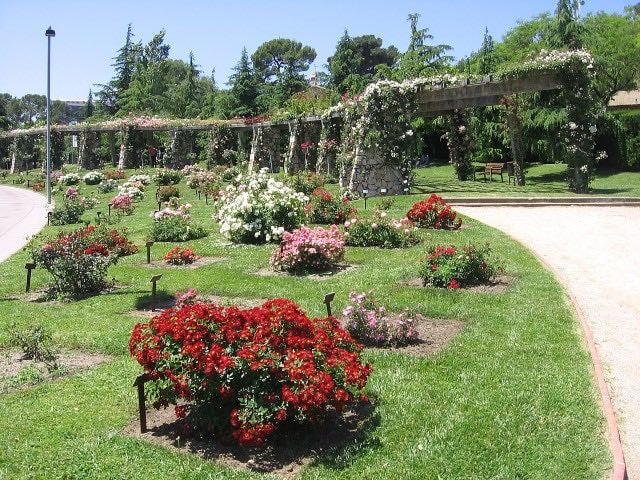 Parc de Cervantes - Parque