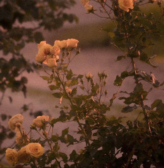How my soul sings