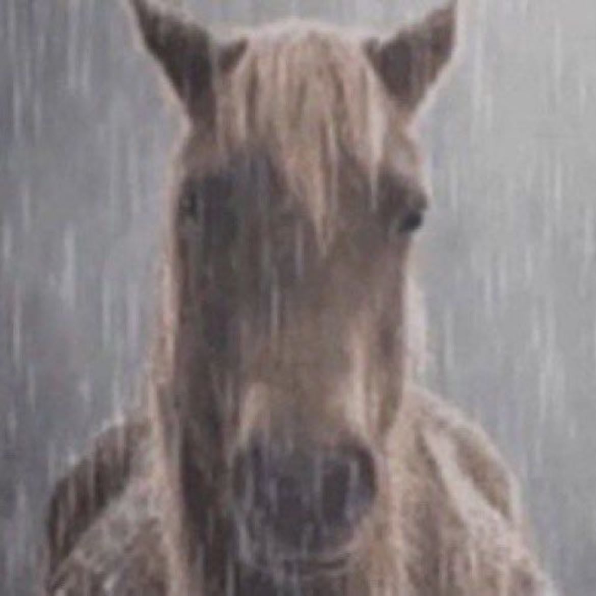 Loud rain