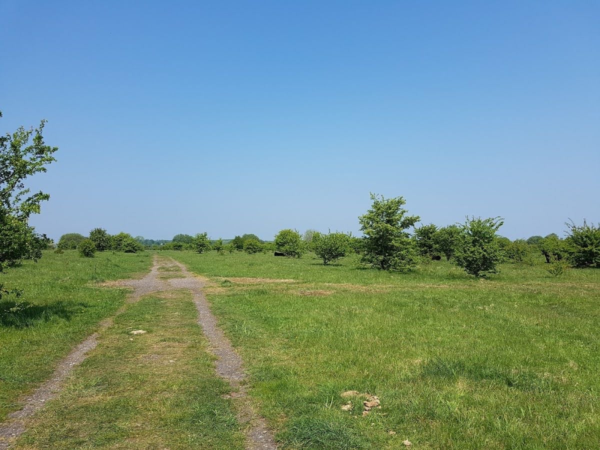 Stiftungsland - For longer walks
