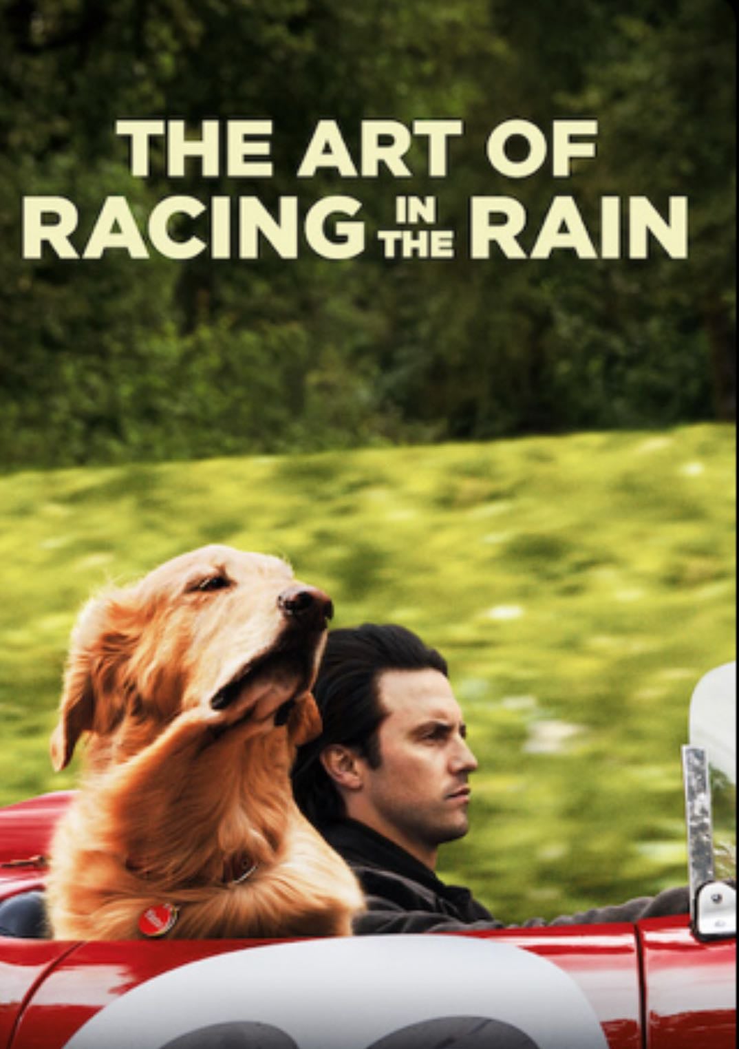 The art of racing in the rain
