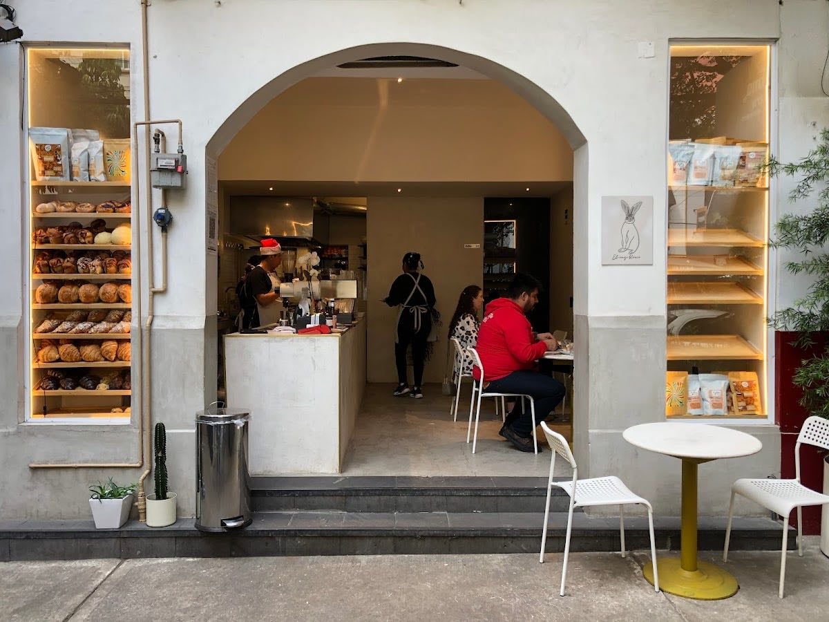 Conejo Blanco Café