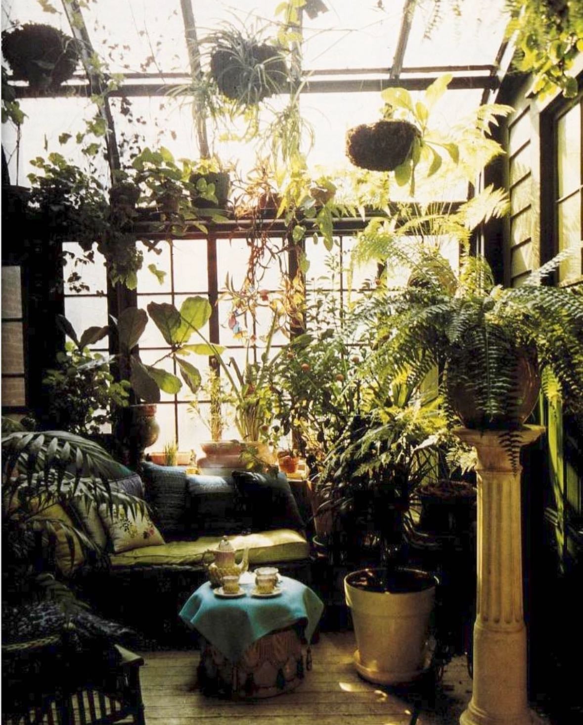 Plants everywhere